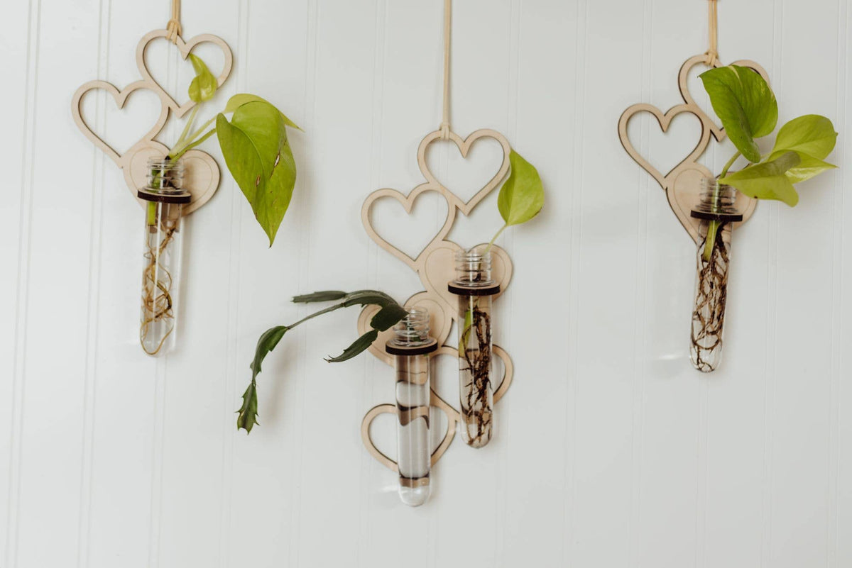 Three propagation stations. Each one is a series of hanging wooden hearts, with a wooden ring holding up a clear test tube. The tubes are full of water and have small cuttings of plants growing in them. The propagation station in the center has two tubes instead of one.