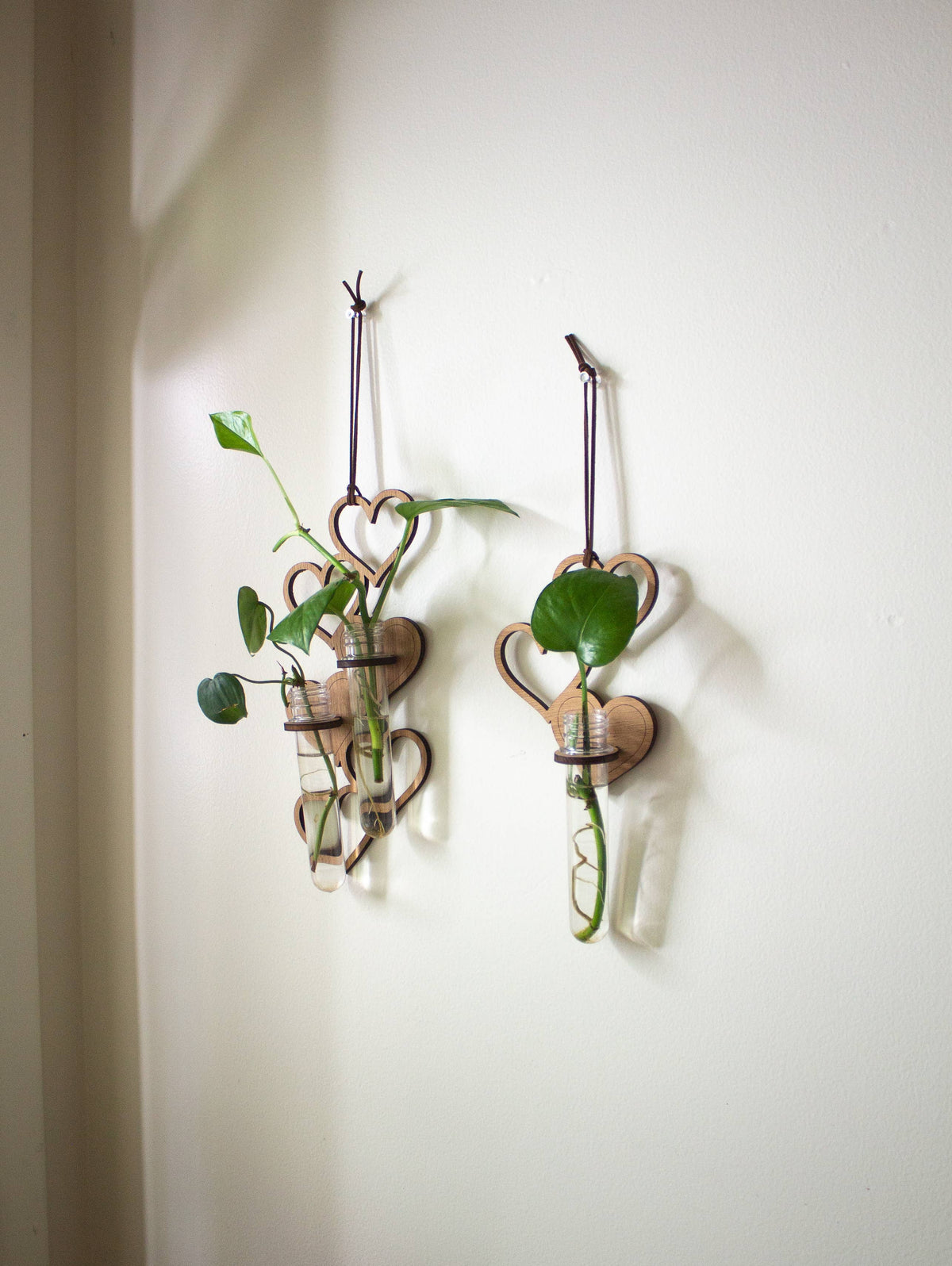 Two propagation stations. Each one is a series of hanging wooden hearts, with a wooden ring holding up clear test tubes. The tubes are full of water and have small cuttings of plants growing in them. The propagation station on the left has two tubes, and the propagation station on the right has one.