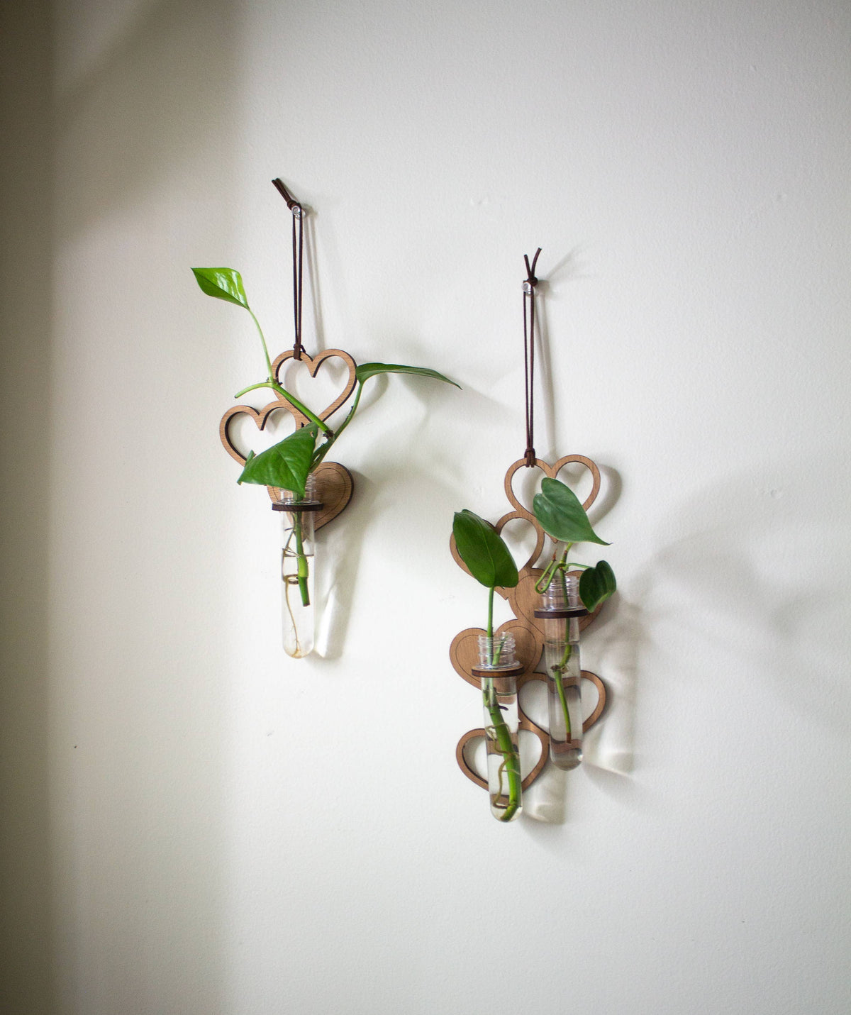 Two propagation stations. Each one is a series of hanging wooden hearts, with a wooden ring holding up clear test tubes. The tubes are full of water and have small cuttings of plants growing in them. The propagation station on the right has two tubes, and the propagation station on the left has one.