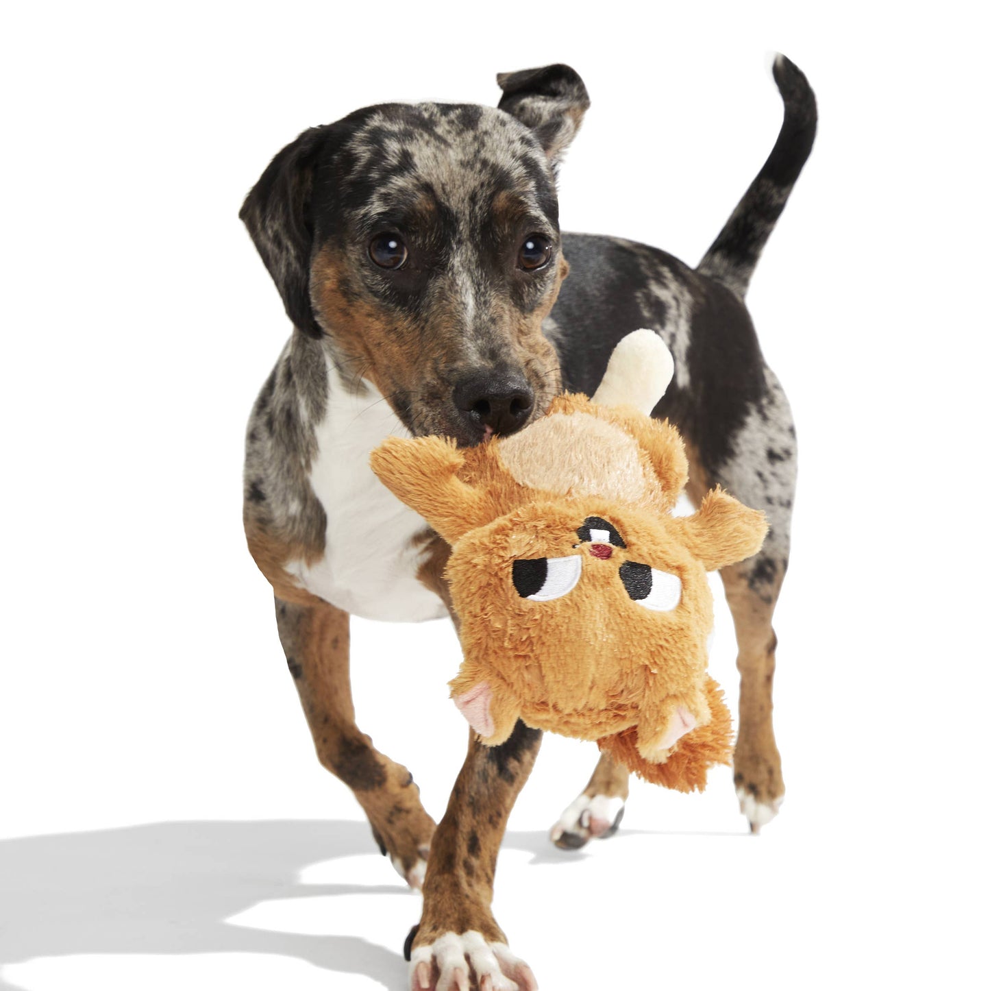 Pearl Squirrel Plush Dog Toy