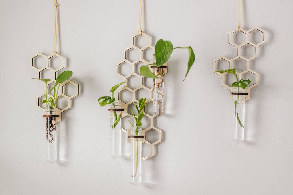 3 Tube Honeycomb Hanging Propagation Station: Dark Wood / Glass Tube