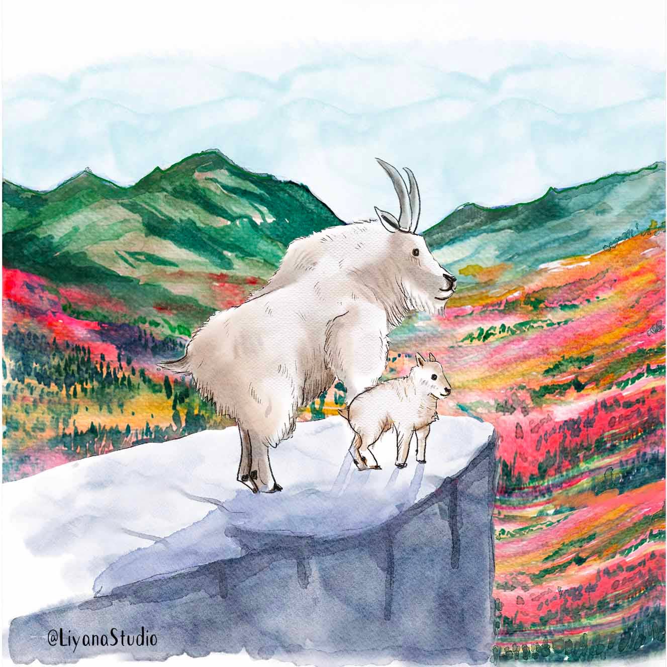 Mountain Goat Adventure - Funny Fathers Day Card