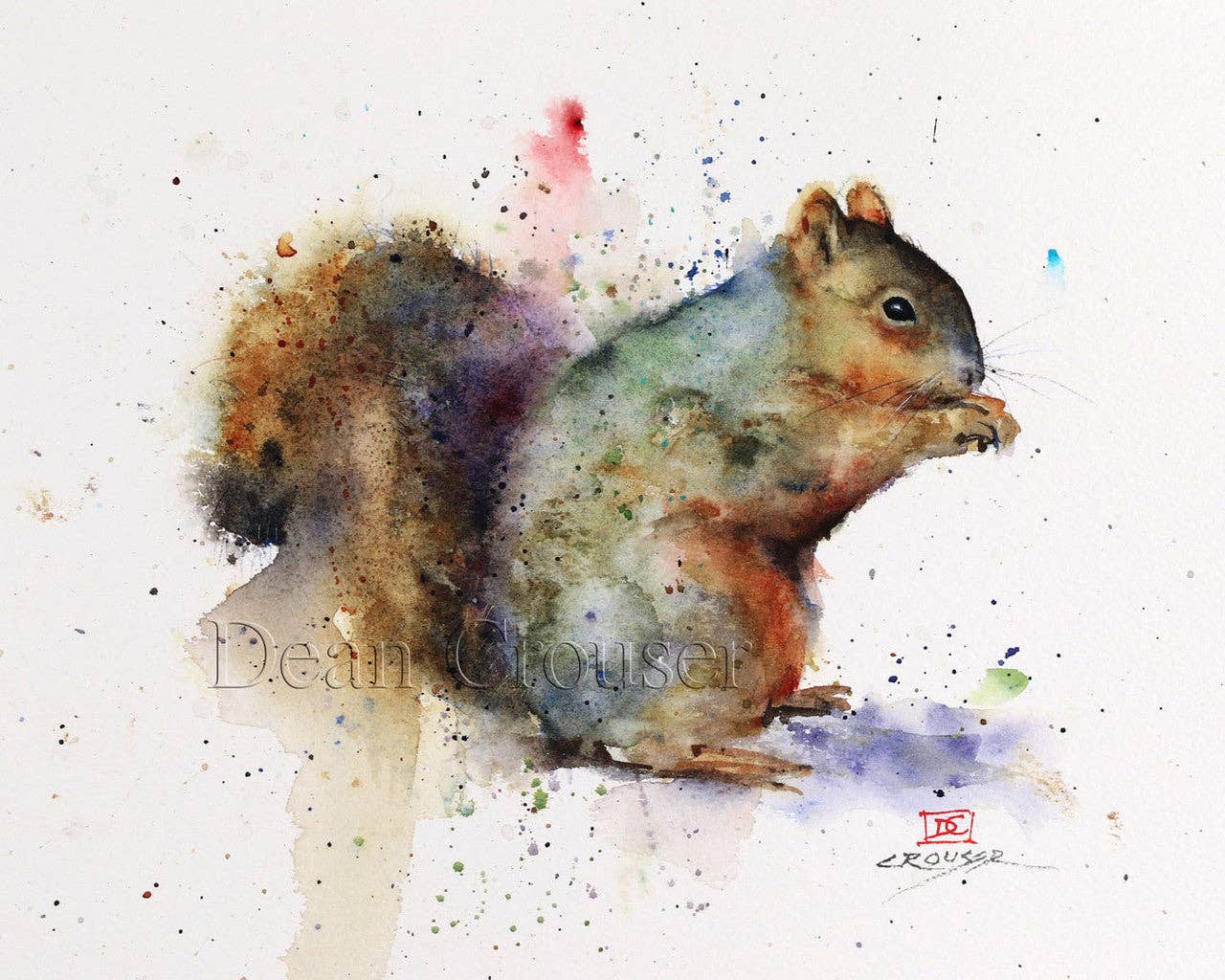 Squirrel 5x7" Greeting Card