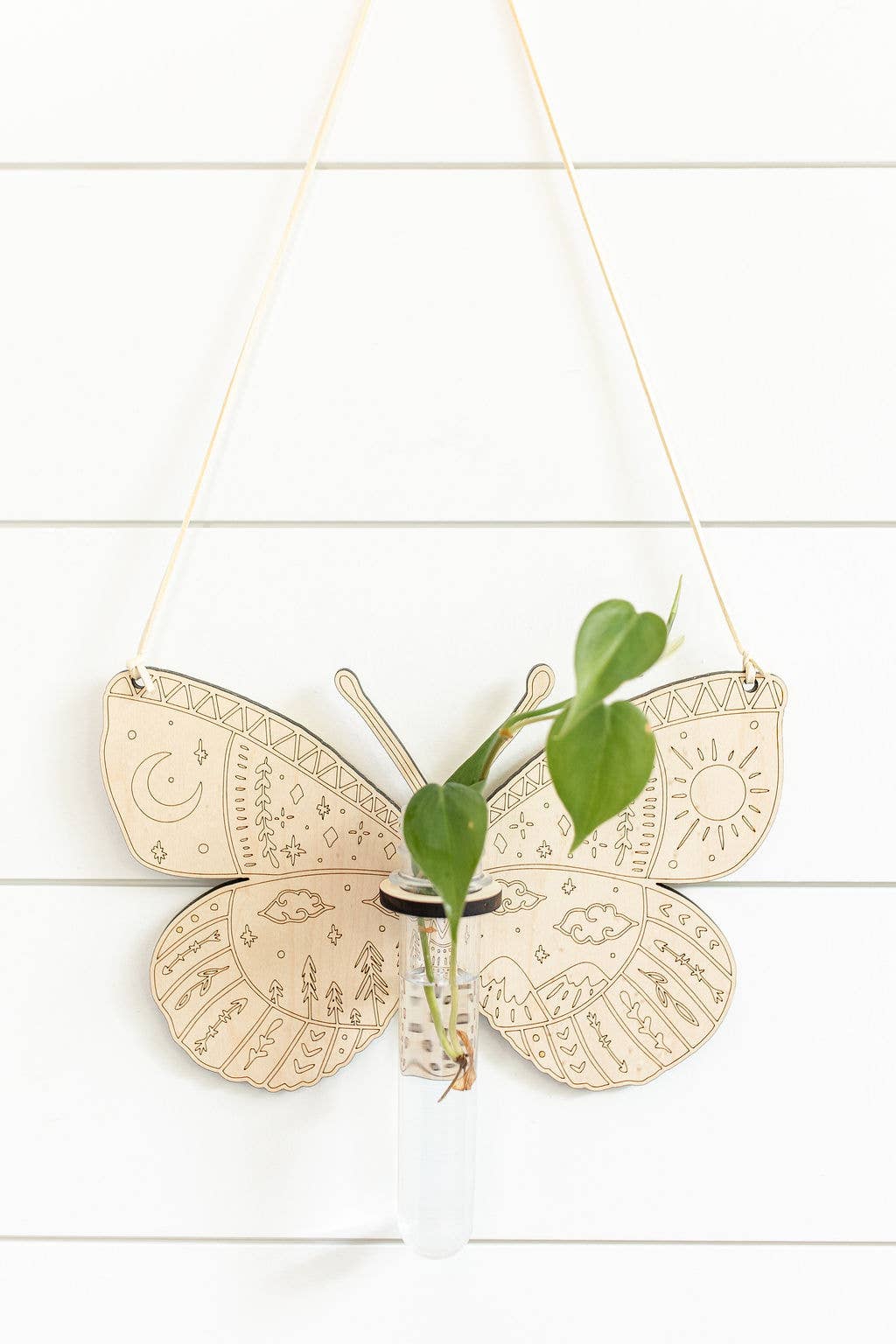 Cosmic Butterfly Hanging Propagation Station