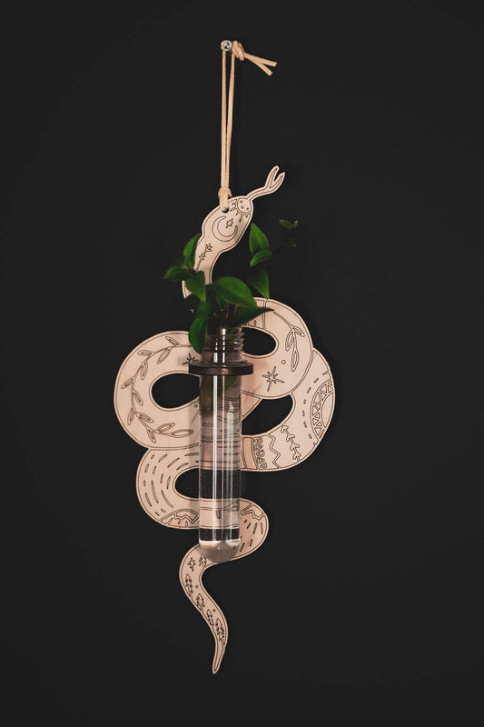 Cosmic Snake Wall Propagation Station