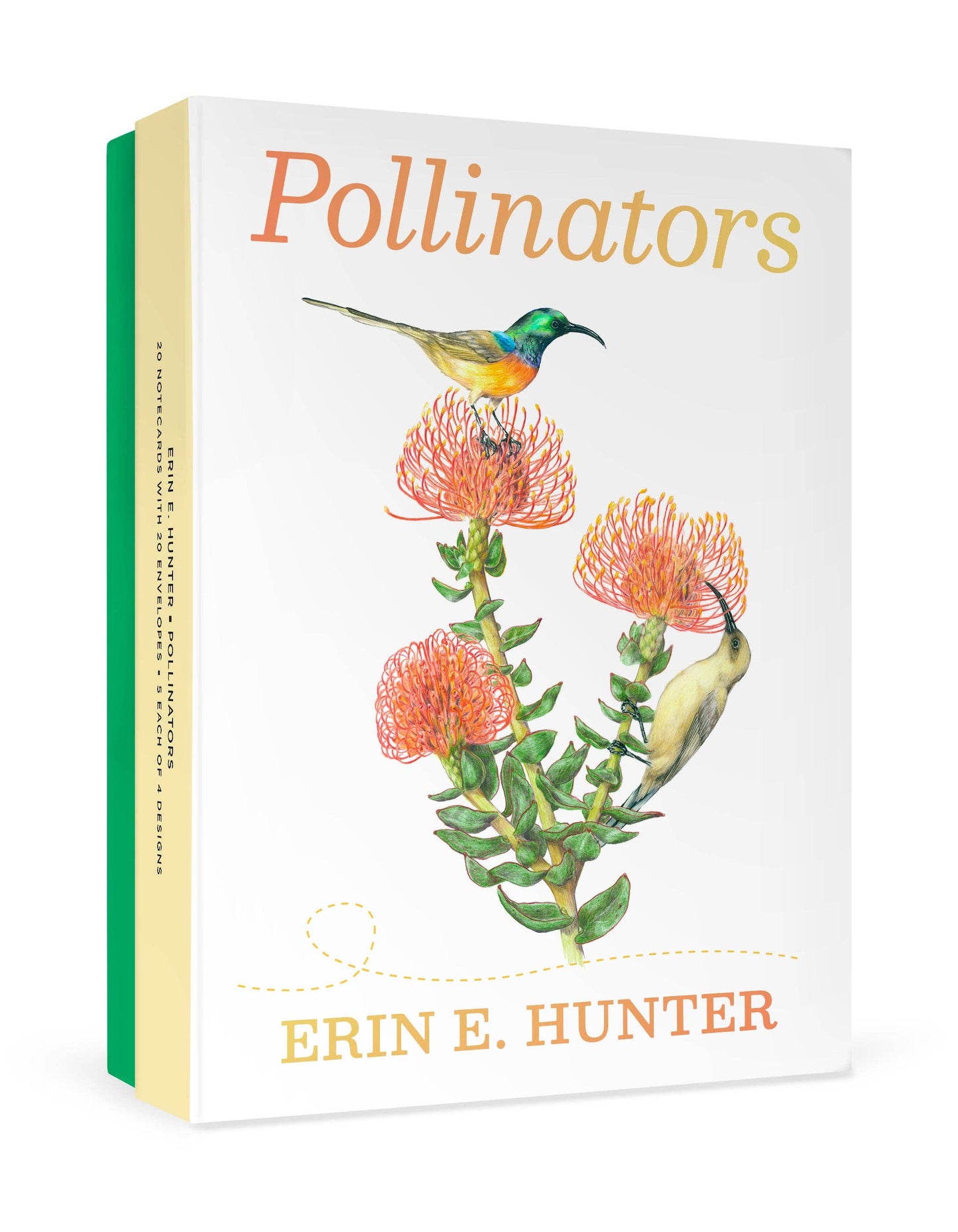 Pollinators Boxed Notecard Assortment