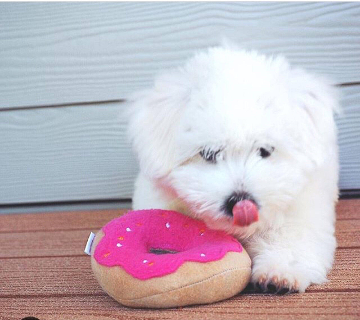 Squeaky Dog Donuts