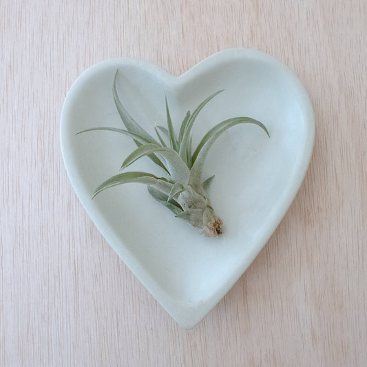 Large Heart Dish - Natural