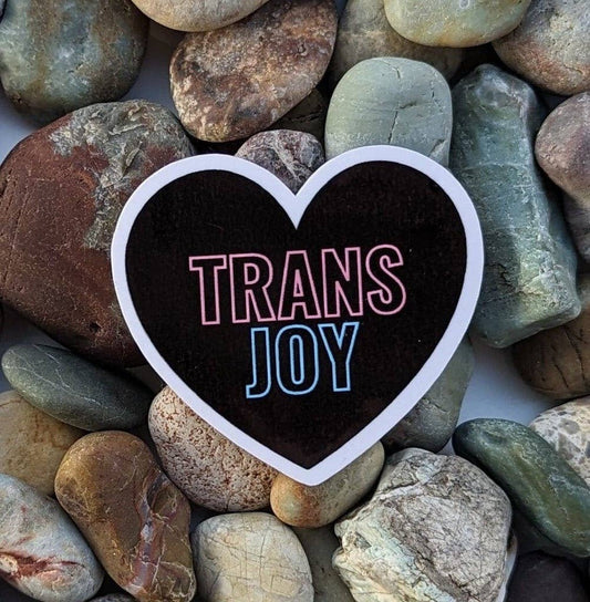 Trans Joy Heart Sticker