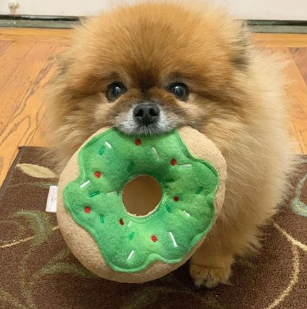 Squeaky Dog Donuts
