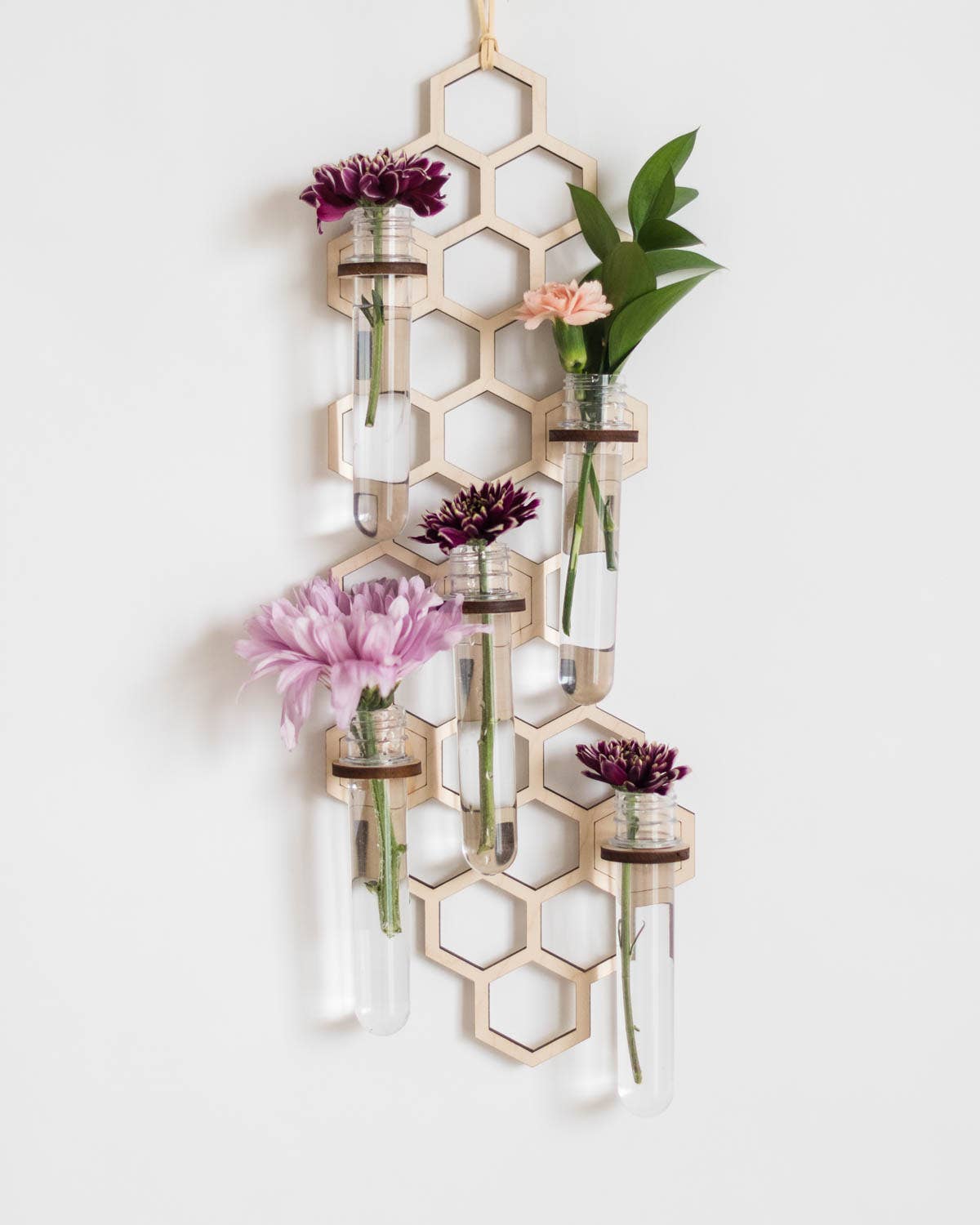 5 Tube Hanging Honeycomb Propagation Station