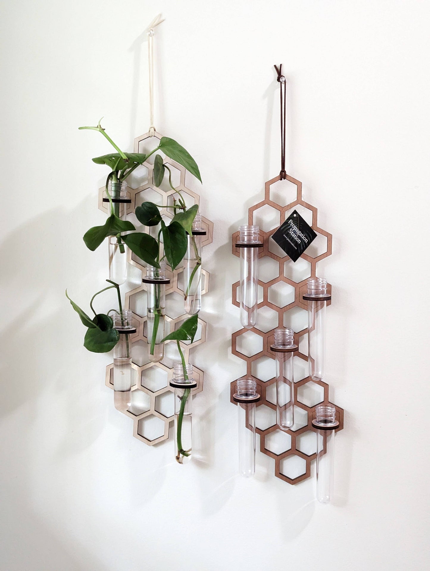 5 Tube Hanging Honeycomb Propagation Station