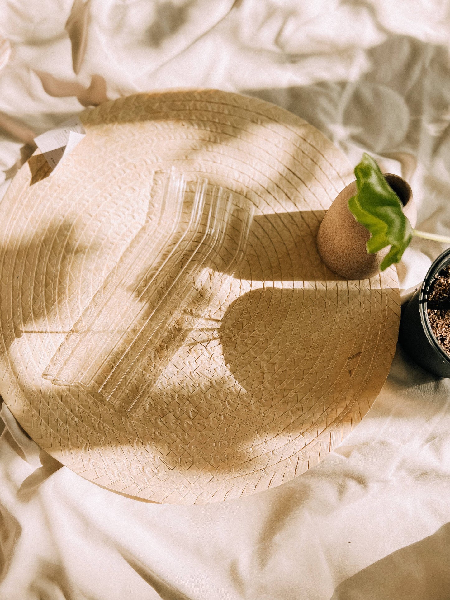 Reusable Straight Glass Straw