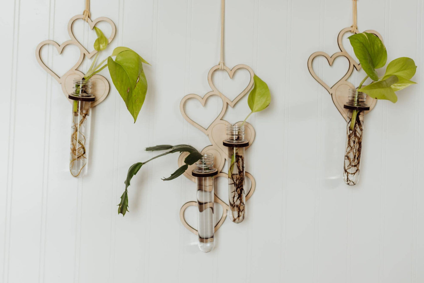 1 Tube Heart Hanging Propagation Station