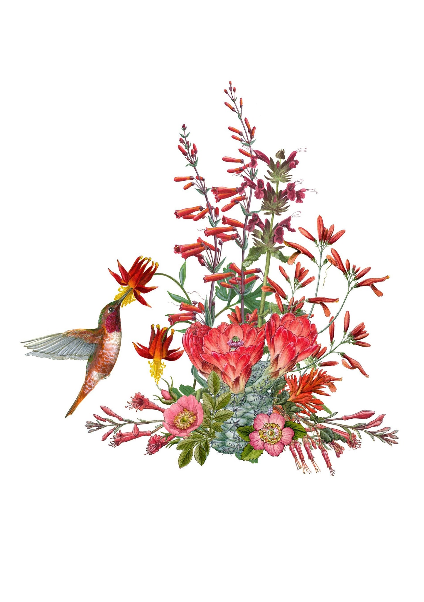 Pollinators Boxed Notecard Assortment